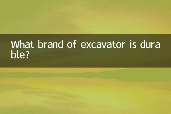 কোন ব্র্যান্ডের এক্সকাভেটর টেকসই?
