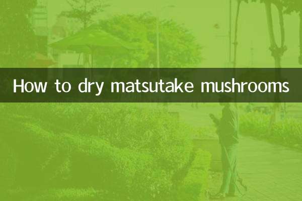 Как сушить грибы мацутаке