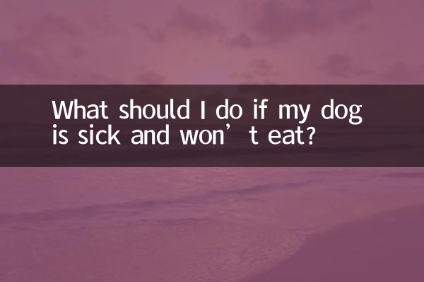 ماذا علي أن أفعل إذا كان كلبي مريضا ولا يريد أن يأكل؟