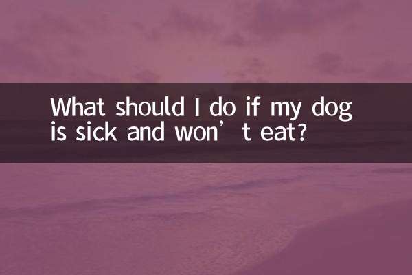 আমার কুকুর যদি অসুস্থ হয় এবং খায় না তবে আমার কী করা উচিত?