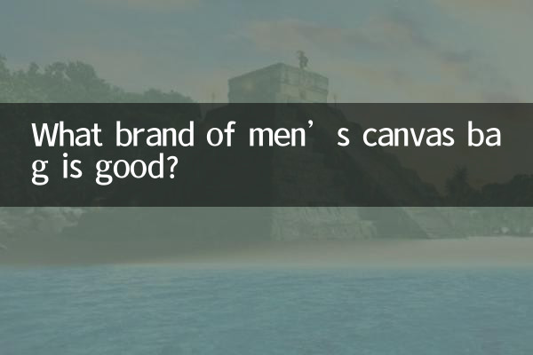 Quale marca di borsa di tela da uomo è buona?