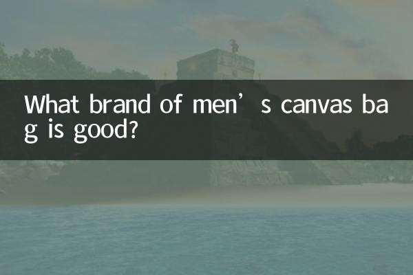 کیف پارچه ای مردانه چه مارکی خوب است؟