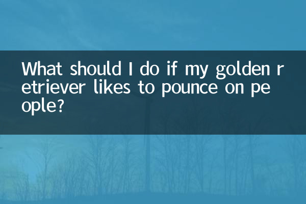 Was soll ich tun, wenn mein Golden Retriever gerne Menschen angreift?