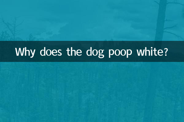 কেন কুকুর সাদা মলত্যাগ করে?