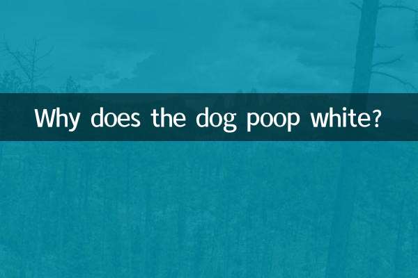 কেন কুকুর সাদা মলত্যাগ করে?