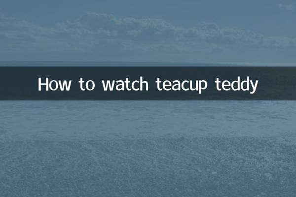 怎么看茶杯泰迪