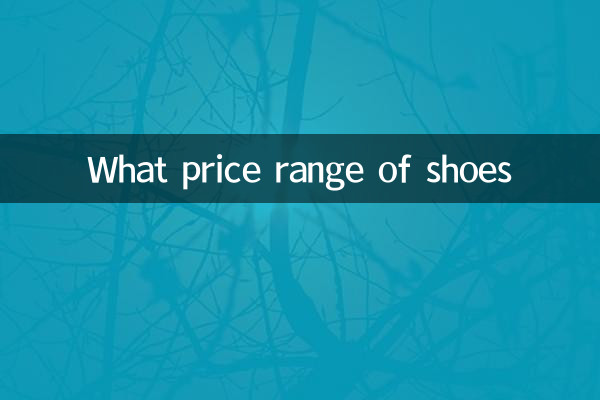 জুতার দাম কত