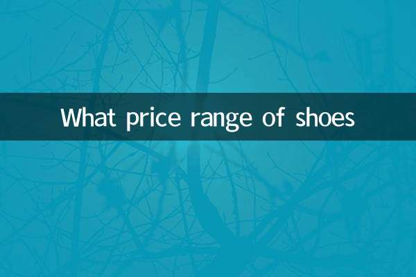 জুতার দাম কত