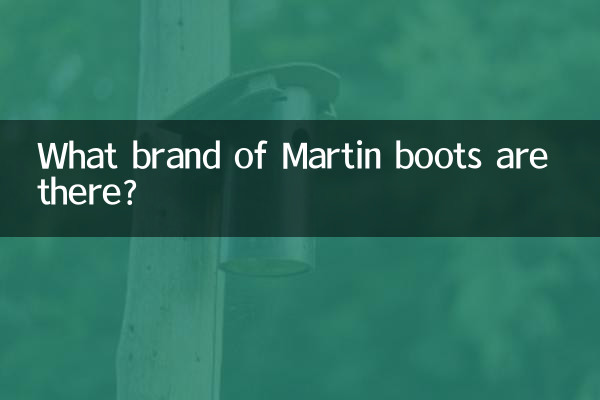 Какая марка ботинок Martin существует?