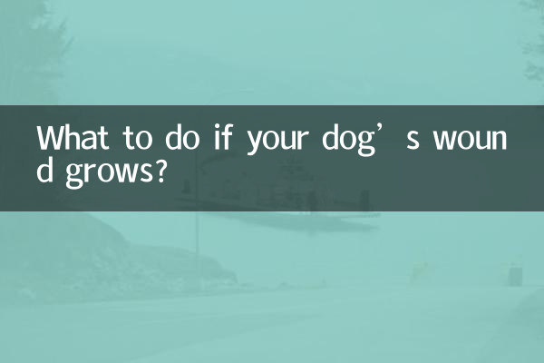 यदि आपके कुत्ते का घाव बढ़ जाए तो क्या करें?