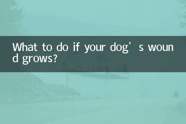 यदि आपके कुत्ते का घाव बढ़ जाए तो क्या करें?