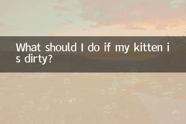 Что делать, если мой котенок испачкался?