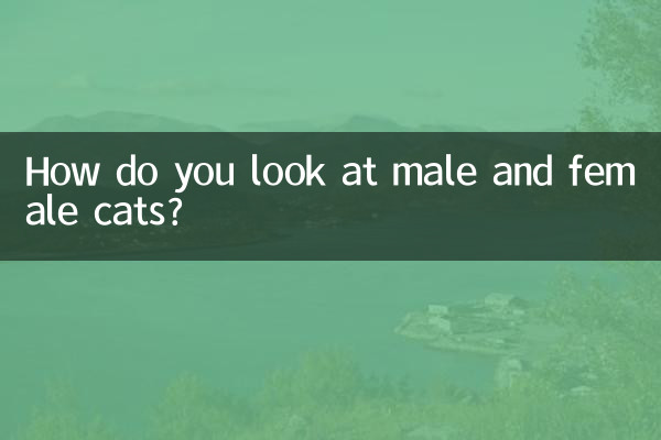 How do you look at male and female cats?