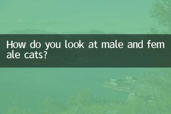 How do you look at male and female cats?