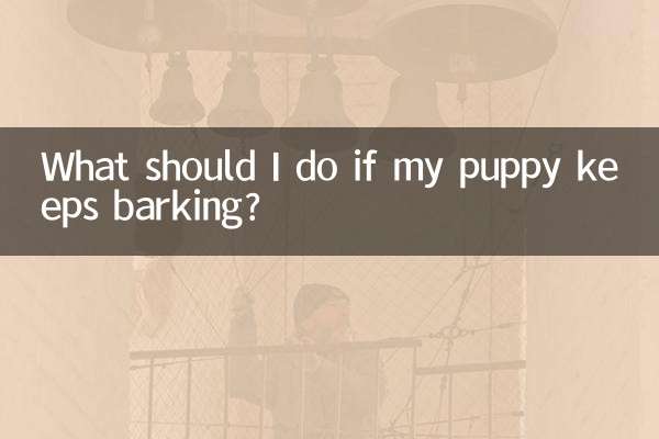 小狗一直叫怎麼辦