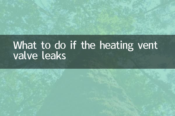 Was tun, wenn das Entlüftungsventil der Heizung undicht ist?