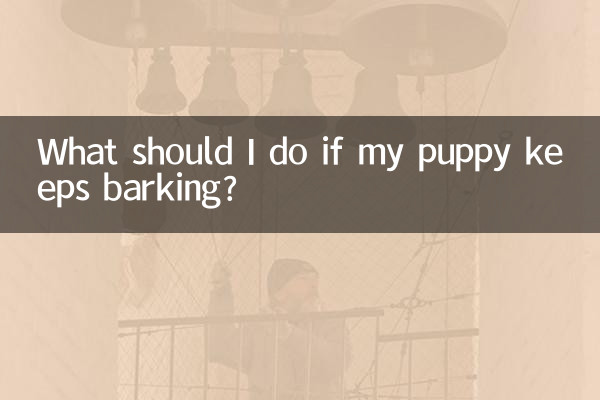 小狗一直叫怎麼辦