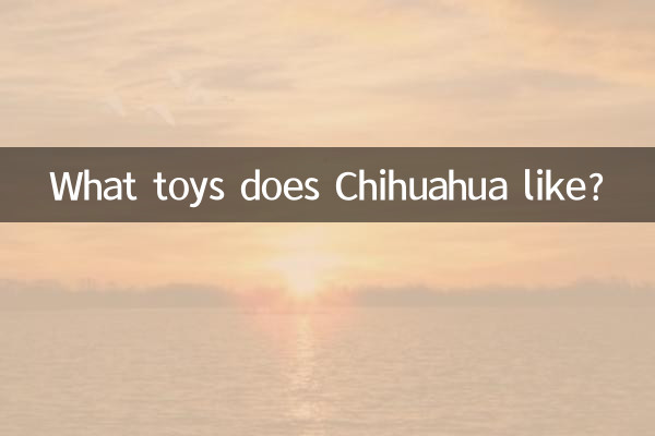 চিহুয়াহুয়া কি খেলনা পছন্দ করে?