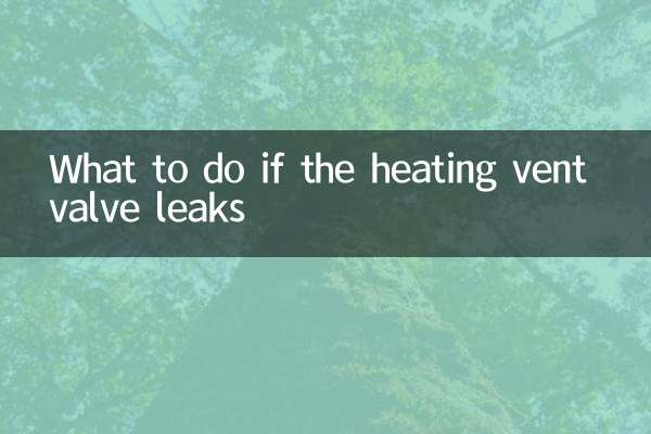 Was tun, wenn das Entlüftungsventil der Heizung undicht ist?