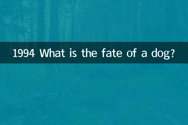 1994 Quel est le sort d'un chien ?