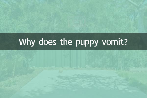 Perché il cucciolo vomita?