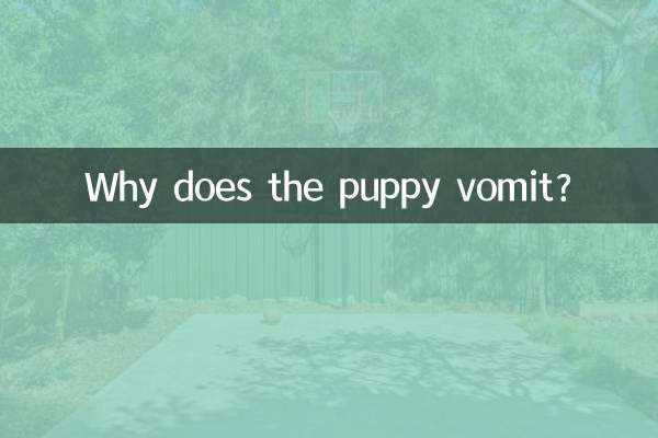 چرا توله سگ استفراغ می کند؟