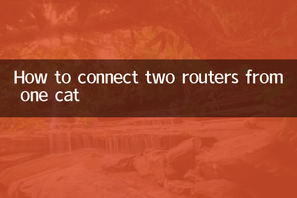 한 고양이에서 두 개의 라우터를 연결하는 방법