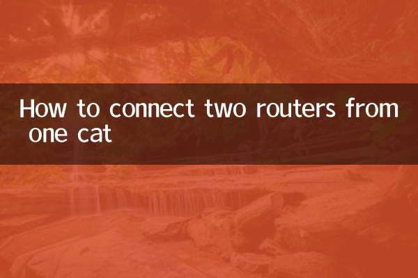 كيفية ربط جهازين توجيه من قطة واحدة