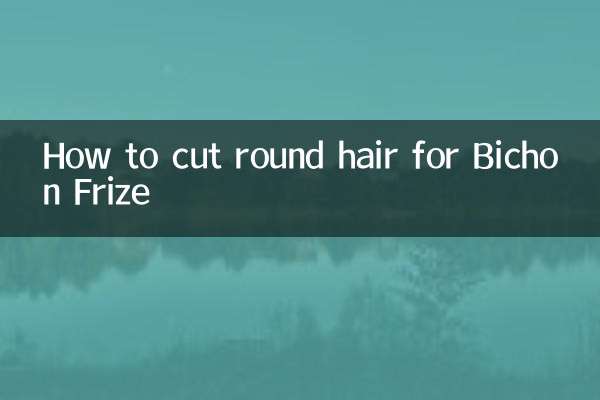 Как подстричь круглые волосы Бишон Фризе