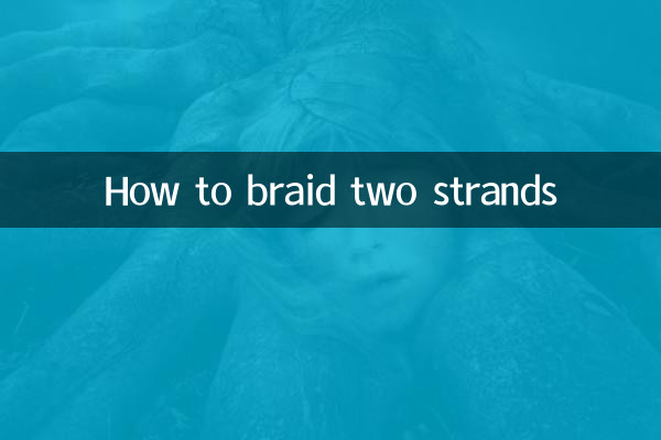 2本の紐を編む方法