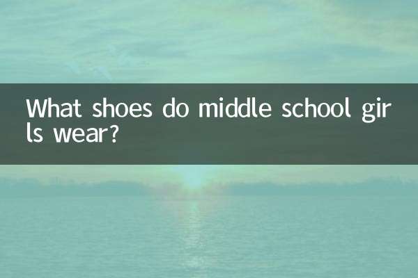 Quelles chaussures portent les collégiennes ?