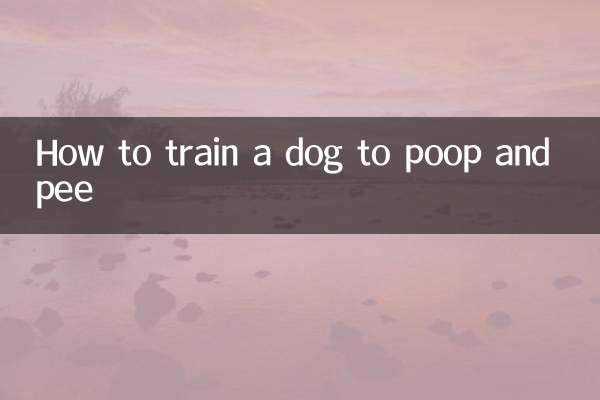 How to train a dog to poop and pee