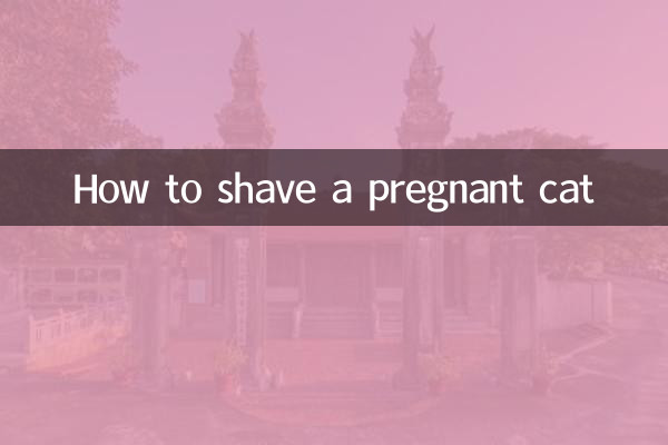 حاملہ بلی کو کیسے مونڈیں