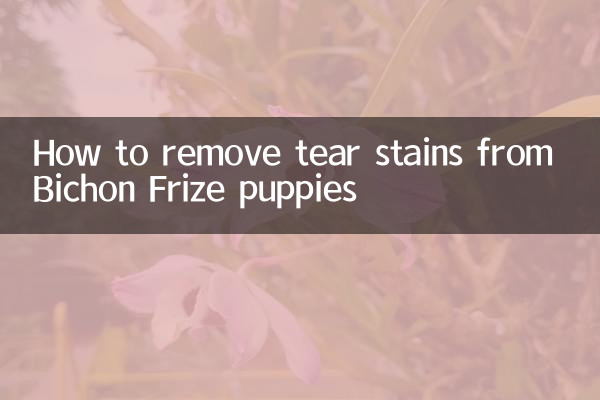 Come rimuovere le macchie di lacrimazione dai cuccioli di Bichon Frise