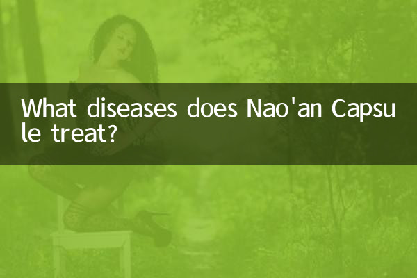 나오안캡슐은 어떤 질병을 치료하나요?