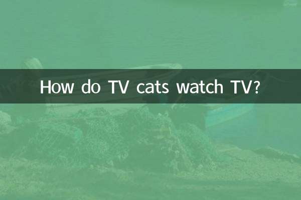 Come guardano la TV i gatti della TV?