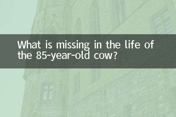 ৮৫ বছর বয়সী গরুর জীবনে কী নেই?