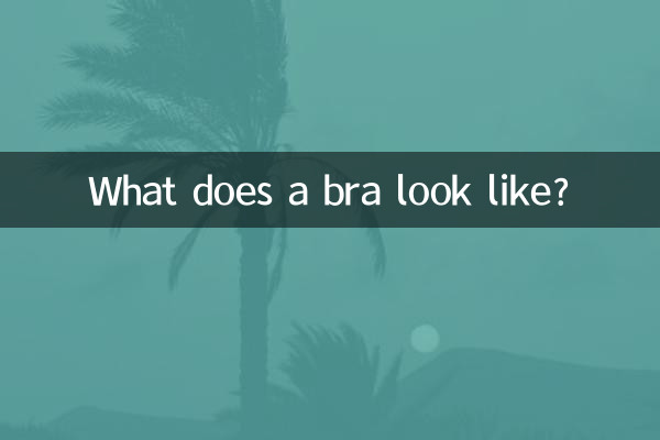 文胸是什麼樣的