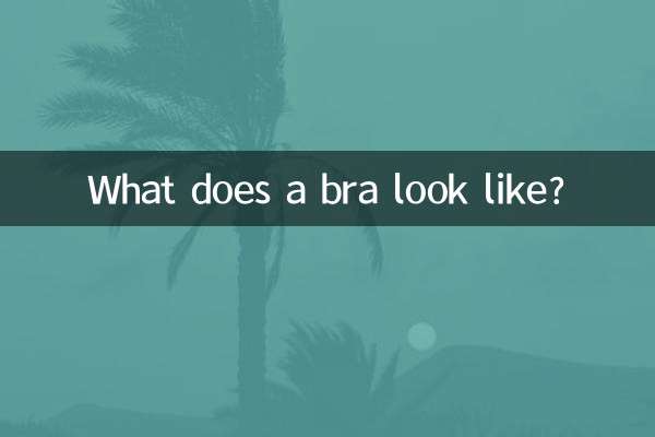 文胸是什麼樣的