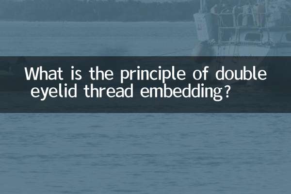 डबल पलक धागा एम्बेडिंग का सिद्धांत क्या है?