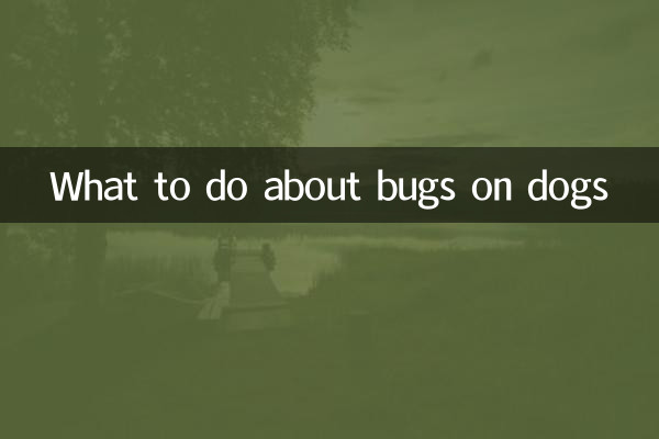 Was tun gegen Insekten bei Hunden?