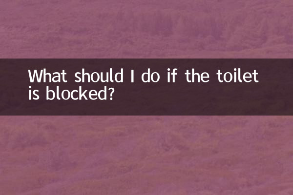 ¿Qué debo hacer si el inodoro está bloqueado?