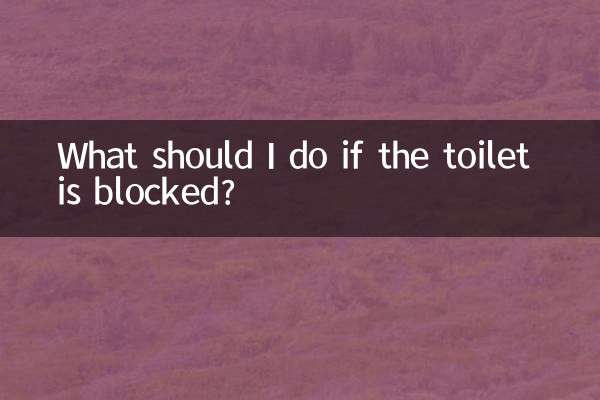 厕所被堵住了怎么办