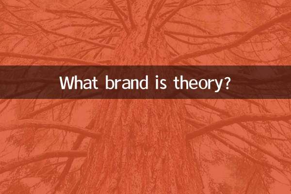 What brand is theory?