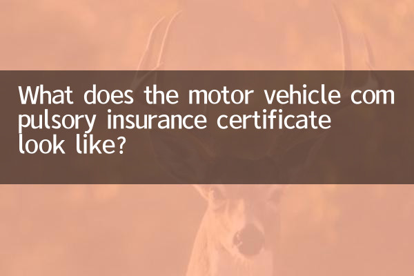 Como é o certificado de seguro obrigatório de veículos automóveis?