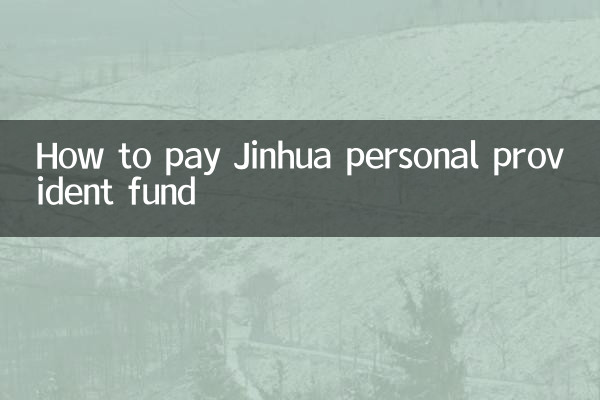 Jinhua 개인 적립금 지불 방법