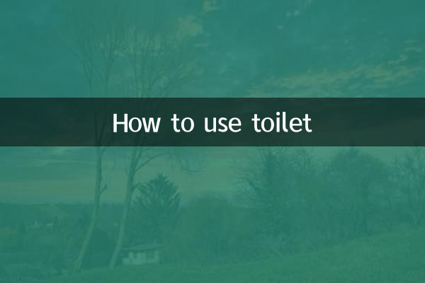টয়লেট কীভাবে ব্যবহার করবেন