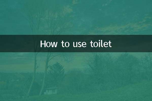 টয়লেট কীভাবে ব্যবহার করবেন