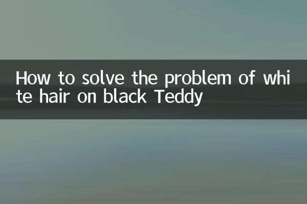 Como resolver o problema dos cabelos brancos no Teddy preto