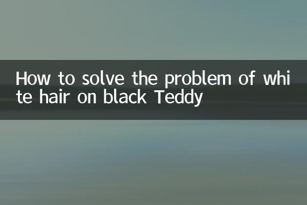 How to solve the problem of white hair on black Teddy